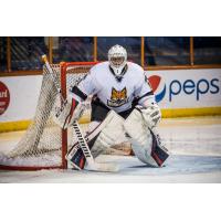 Goaltender Dillon Kelley with the Fayetteville Marksmen