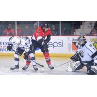 Adirondack Thunder forward Alexandre Carrier tests the Manchester Monarchs goaltender