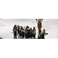 Utah Grizzlies celebrate a win