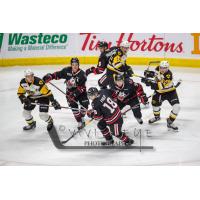 Niagara IceDogs vs. the Hamilton Bulldogs