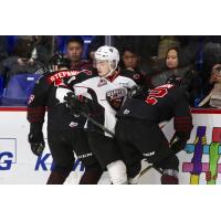 Vancouver Giants centre Tristen Nielsen sandwiched between the Moose Jaw Warriors