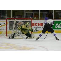 Asa Kinnear of the Tri-City Storm scores in a shootout against the Sioux City Musketeers