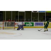 Tri-City Storm goaltender Jake Barczewski against the Sioux City Musketeers in a shootout