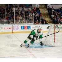 Texas Stars Recall right wing Denis Gurianov