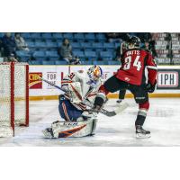 Vancouver Giants left wing Brayden Watts and the Kamloops Blazers goaltender