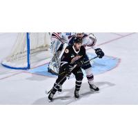 Orlando Solar Bears forward Tayler Thompson