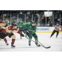 Florida Everblades forward Michael Neville handles the puck against the Atlanta Gladiators