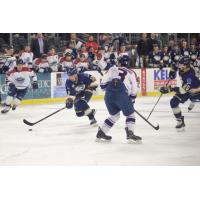 Sioux Falls Stampede center Brian Chambers skates through the Central Illinois Flying Aces