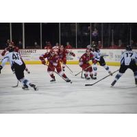 Allen Americans vs. the Idaho Steelheads