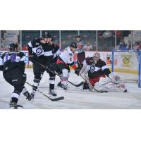 Matt Salhany of the Adirondack Thunder in a sea of Reading Royals