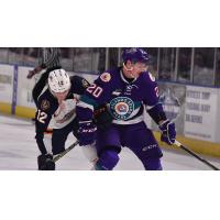 Greenville Swamp Rabbits forward Johno May (left) vs. the Orlando Solar Bears