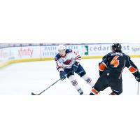 South Carolina Stingrays forward Sam Fioretti vs. the Kansas City Mavericks