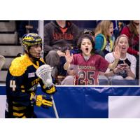 A Georgia Swarm fan cheers on Lyle Thompson