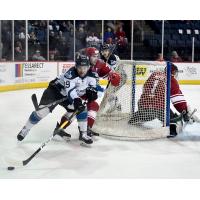 Goaltender CJ Motte and the Allen Americans defense try to hold off the Idaho Steelheads