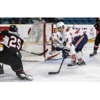 Vladislav Mikhalchuk of the Prince George Cougarsscores against the Kamloops Blazers