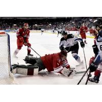 Allen Americans goaltender C.J. Motte dives for a puck against the Idaho Steelheads