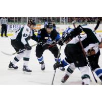 Utah Grizzlies fight for the puck against the Wichita Thunder