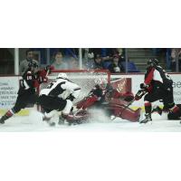 Prince George Cougars goaltender Isaiah DiLaura tries to stop the Vancouver Giants