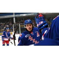 Riley Damiani of the Kitchener Rangers