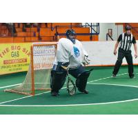 Rochester Knighthawks goaltender Nick Damude
