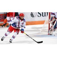 Kitchener Rangers right wing Joseph Garreffa
