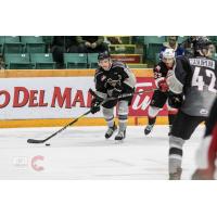 Vancouver Giants defenseman Seth Bafaro against the Prince George Cougars