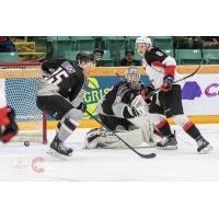 Prince George Cougars left wing Jackson Leppard (8) tests Vancouver Giants defenceman Kaleb Bulych