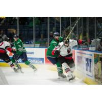 Florida Everblades battle the Adirondack Thunder