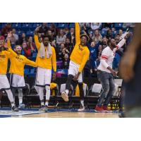 Saint John Riptide celebrate on the bench