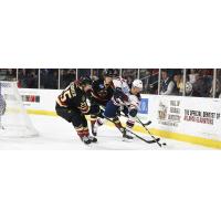 South Carolina Stingrays vs. the Atlanta Gladiators