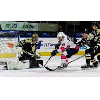 Wheeling Nailers goaltender Jordan Ruby stops the Worcester Railers