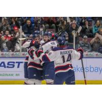Saginaw Spirit exchange congratulations after a goal