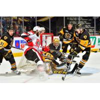 Hamilton Bulldogs against the Ottawa 67's