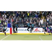 St. Louis Ambush rush onto the field