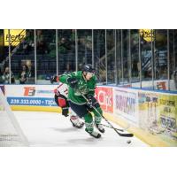 Florida Everblades forward Stathis Soumelidis