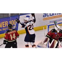 Greenville Swamp Rabbits forward Michael Pelech celebrates a goal against the Atlanta Gladiators