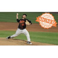 Long Island Ducks pitcher Tyler Badamo