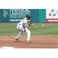 York Revolution infielder Henry Castillo