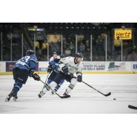 Florida Everblades defenseman Logan Roe