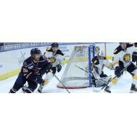 South Carolina Stingrays forward Christian Horn (left) skates around the Norfolk Admirals net