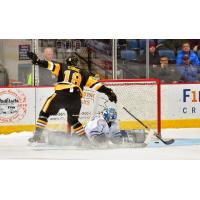 Hamilton Bulldogs captain Matthew Strome scores on the Mississauga Steelheads