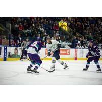 Cliff Pu of the Florida Everblades vs. the Orlando Solar Bears
