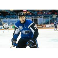 Saint John Sea Dogs right wing Nicholas Deakin-Poot