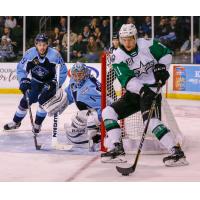 Texas Stars center Joel L'Esperance against the Milwaukee Admirals