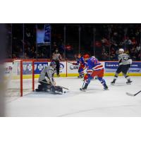 San Antonio Rampage goaltender Jared Coreau makes a save on Grand Rapids Griffins forward Wade Megan