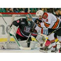 Texas Stars Goaltender Philippe Desrosiers stops a Tucson Roadrunners' shot attempt