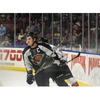 Utah Grizzlies vs. the Kansas City Mavericks
