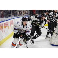 Utah Grizzlies vs. the Kansas City Mavericks behind the net