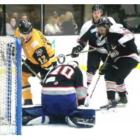 Wheeling Nailers forward Renars Krastenbergs tests the Brampton Beast defense