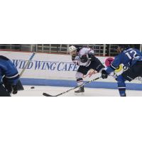 South Carolina Stingrays vs. the Jacksonville IceMen